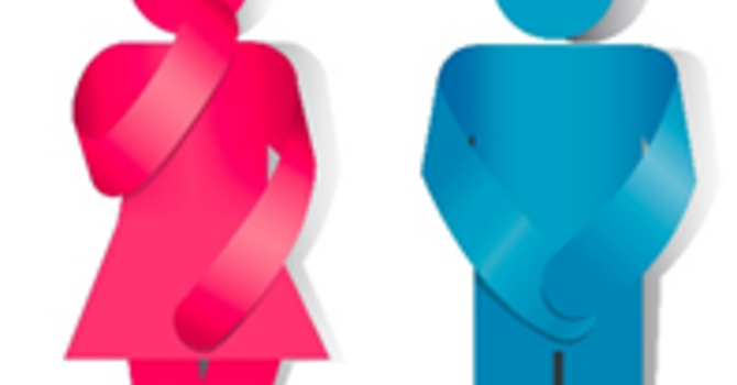 Pelvic Floor Dysfunctions