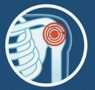 Link to: https://abelhandschiro.com/chiropractor-for-shoulder-pain