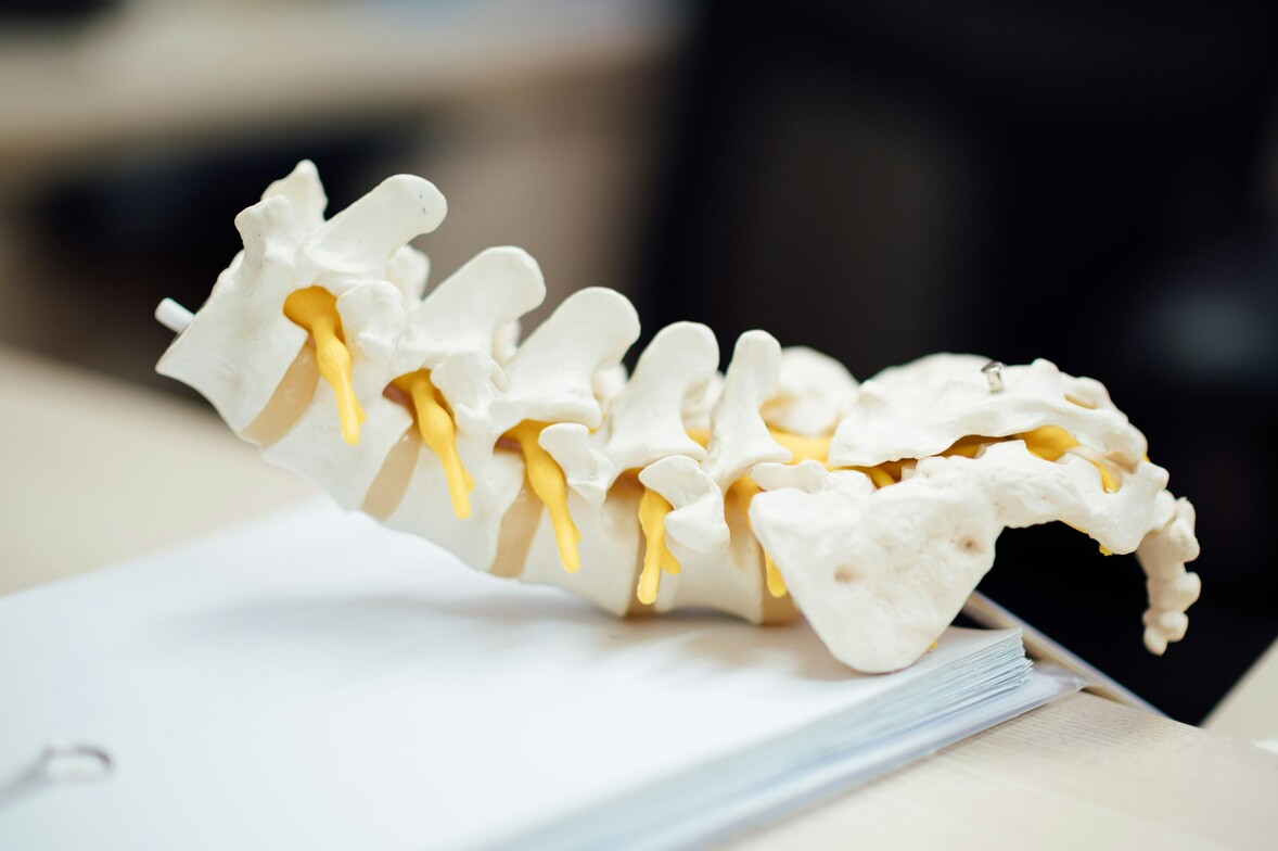Chiropractor in Clinton Township explaining spinal joint movement