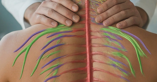 Chronic Inflammation: Symptoms, Causes, and How to Reduce It Naturally