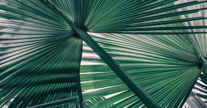 Top 5 Post-Summer Skin Treatments at Masters Medspa