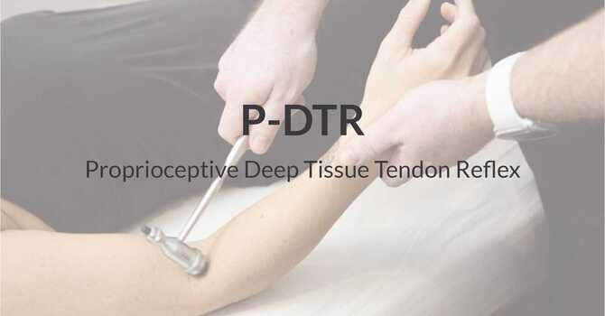 (P-DTR)