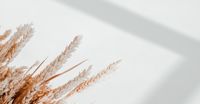 Registered Dietitian