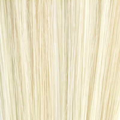 Unnamed Image