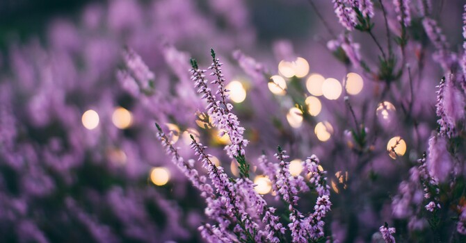 Boost Your Fertility: A 30-Day Holistic Guide image