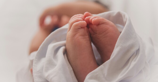 Your Fertility Journey, Reimagined  image