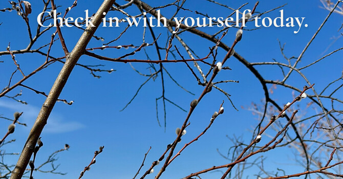 Spring Check-In: How Seasonal Changes Affect Your Mental Health image