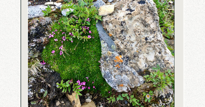  Midweek Grounding image