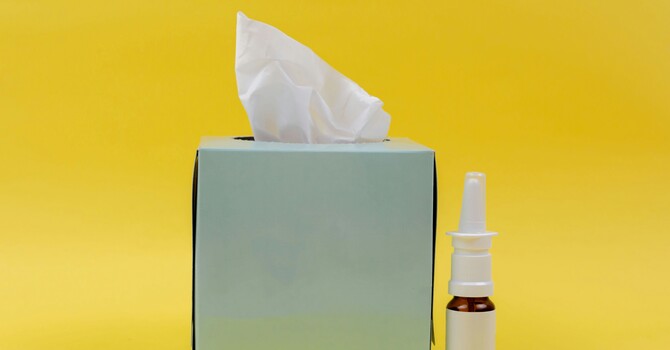 Still Sneezing? Why Fall Allergies Are a Real Thing in Florida image