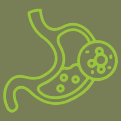 Link to: https://centerfornaturalhealthcareredwing.com/digestive-complaints