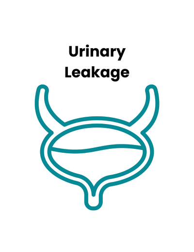 Learn more about urinary leakage 