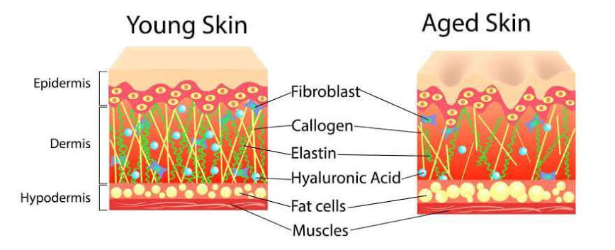 tailored to you-mitchell sd-clinic in mitchell sd - clinic near me- iv therapy-botox-antiwrinkle-skin care-facials-injections-custom labs-labs your way aging skin blog