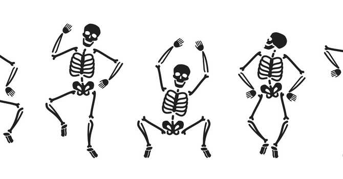 Fun Anatomy Facts image