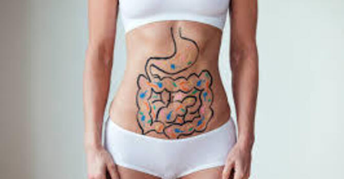 Gut Health Encinitas image