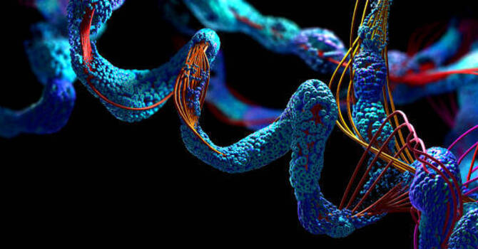 MOTS-C vs. Semaglutide image