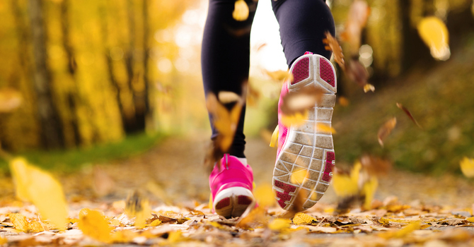 Holistic Health Online Consultations
