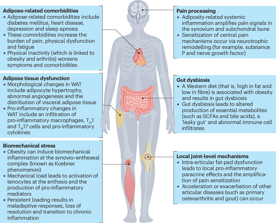 obesity related problems