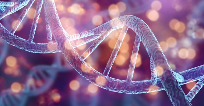 How Autologous Stem Cell Therapy Works image