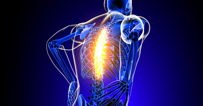 Why Spinal Health is Essential for Overall Wellness image