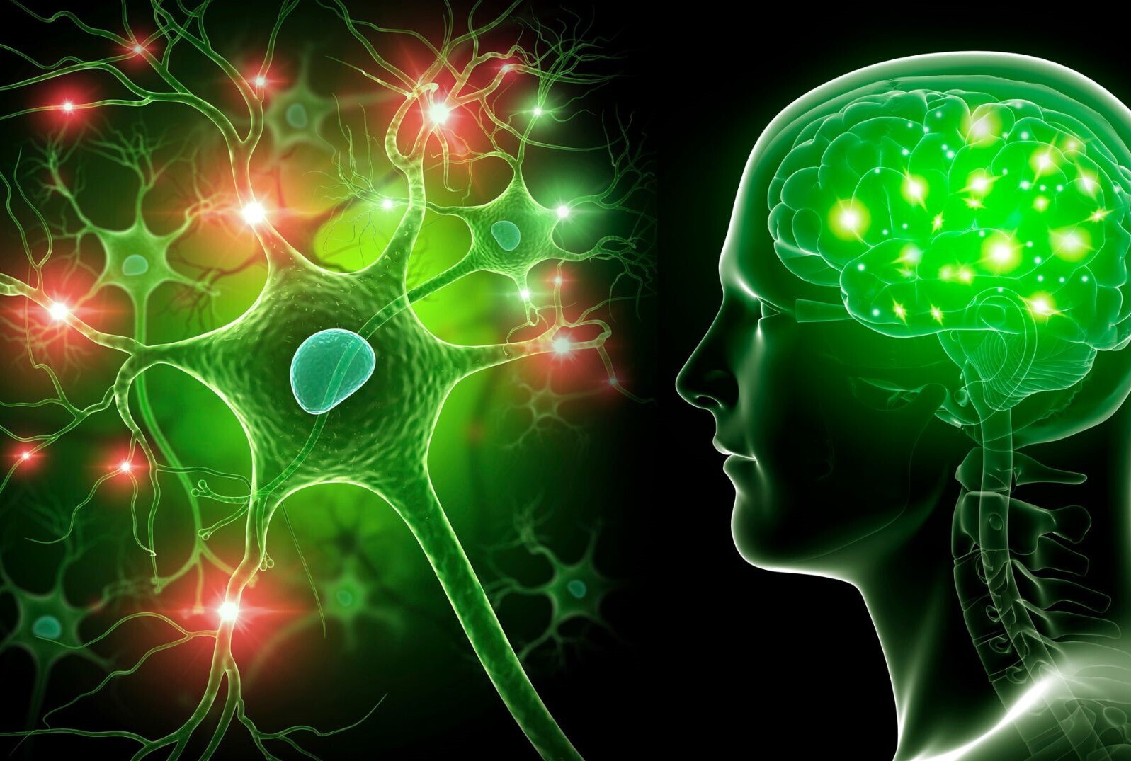 tampa_neuropathy_chiropractor_2026 (1)