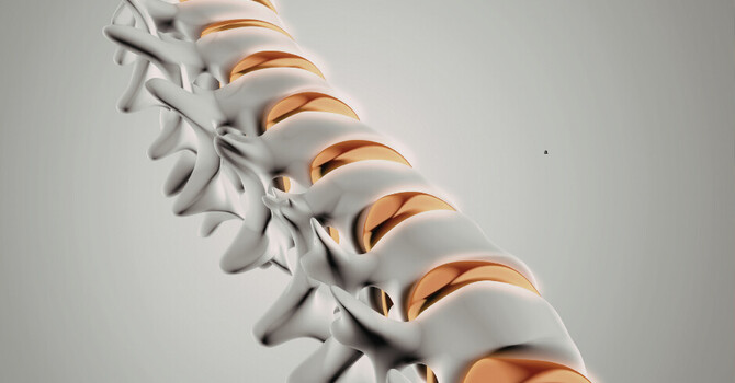 What 'Degenerative Disc Disease' Actually Means (And Why the Way You Heard It Is Keeping You Stuck) image