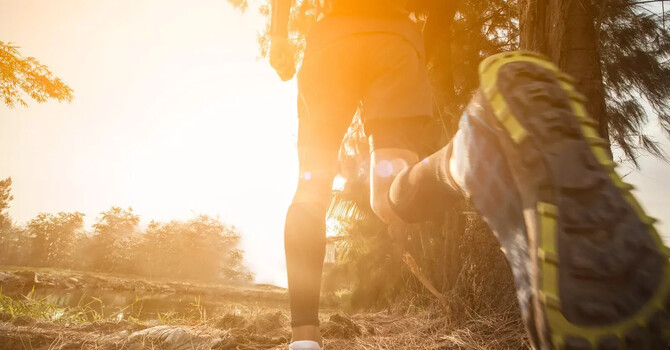 Why Cardiovascular Fitness Supports Joint Health