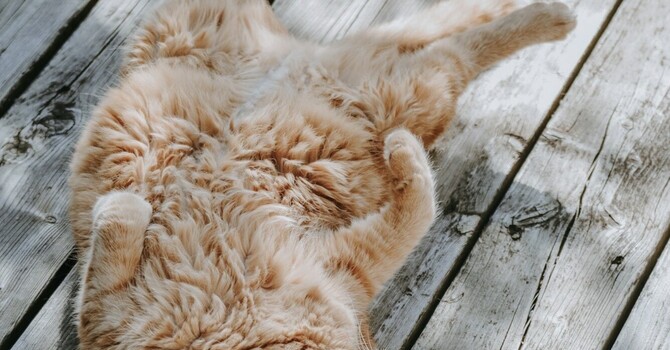 Relaxing Into Discomfort image
