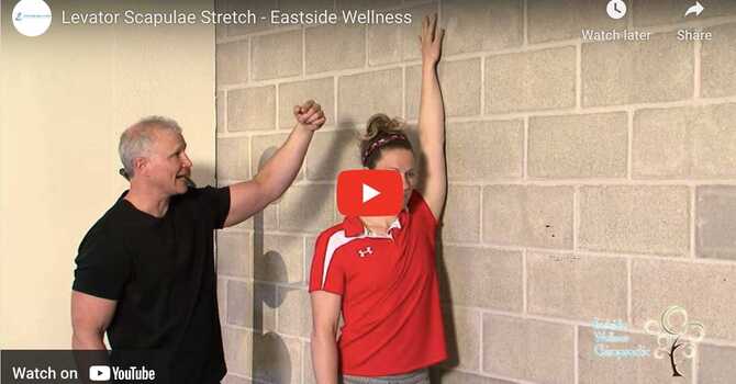 Levator Scapulae Stretch