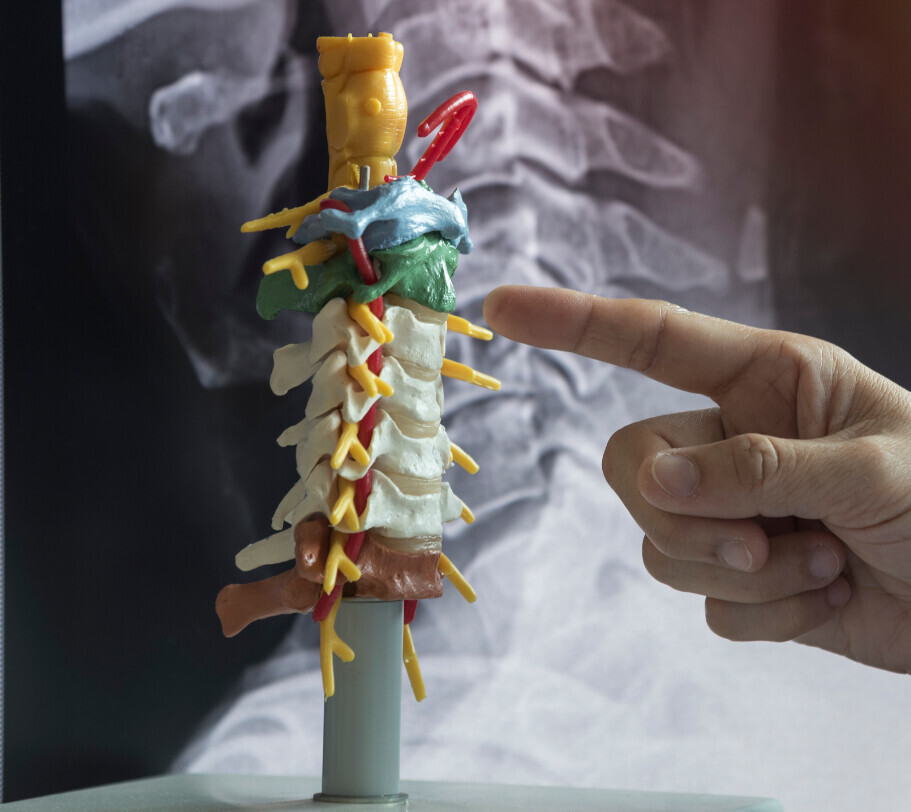 Upper Cervical Chiropractor Tampa (1)