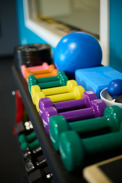 Dumbbells in varying colors and sizes on black dumbbell rack