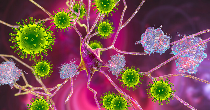 Sinus Infections and Functional Medicine:  image