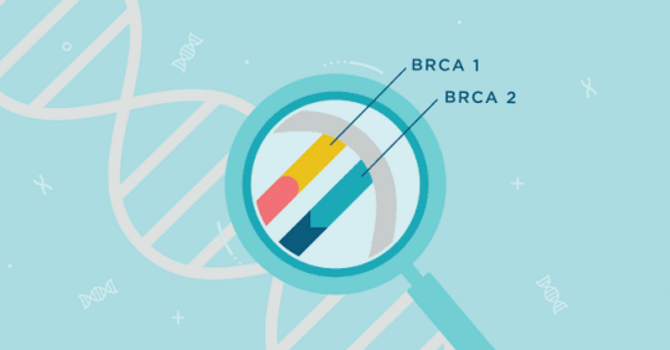 Understanding the BRCA Gene