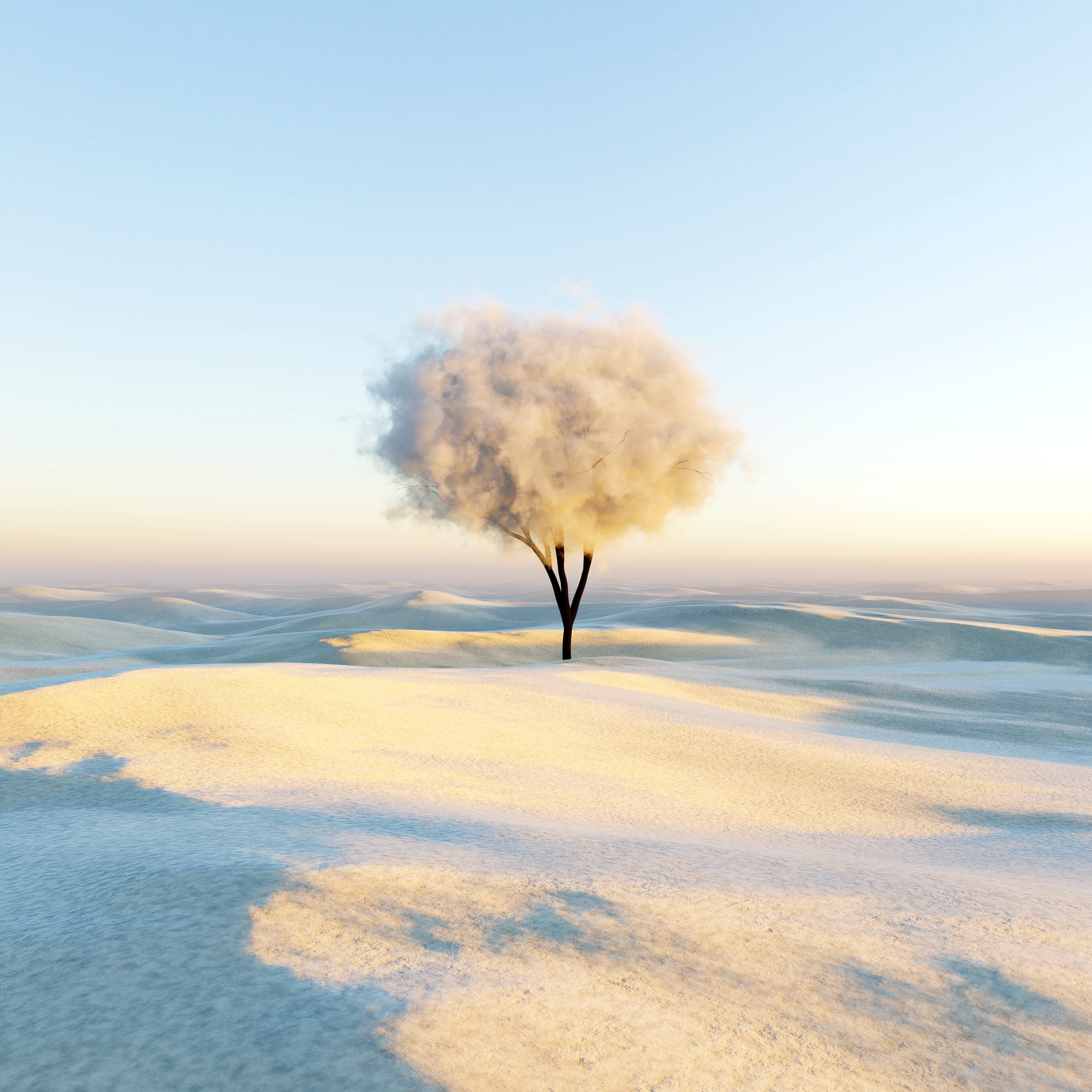 95c-tree-6012938