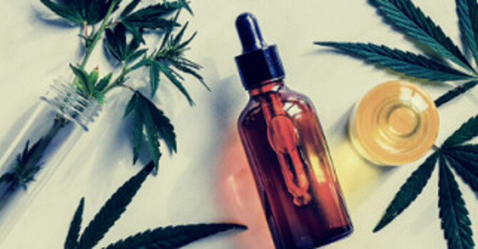 Cannabis Education