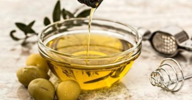 What are Vegetable and Seed Oils?