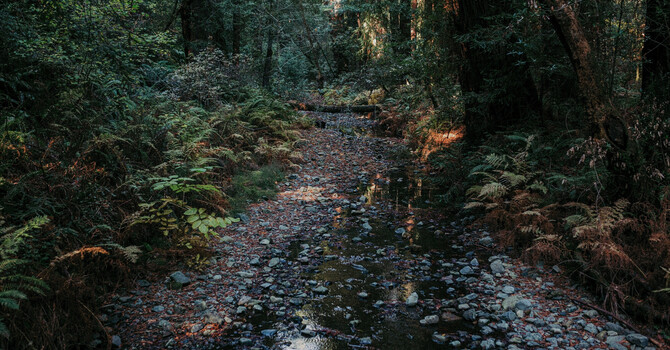 When One Season Ends: What Transitions Can Teach Us About Ourselves