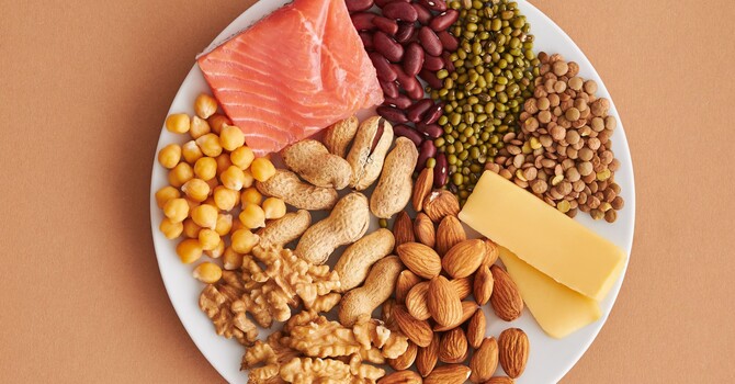 Your body's protein needs image