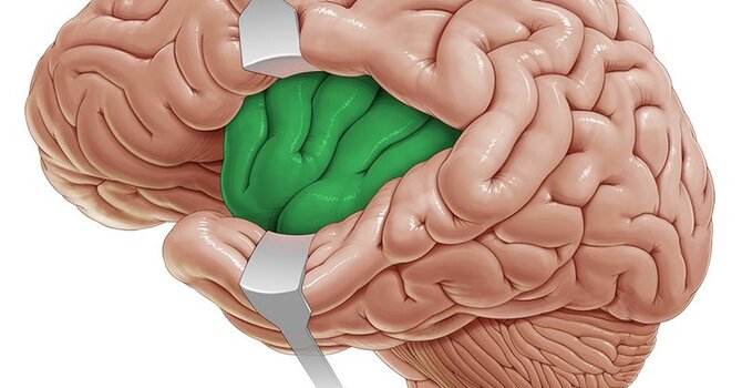 Interoception image