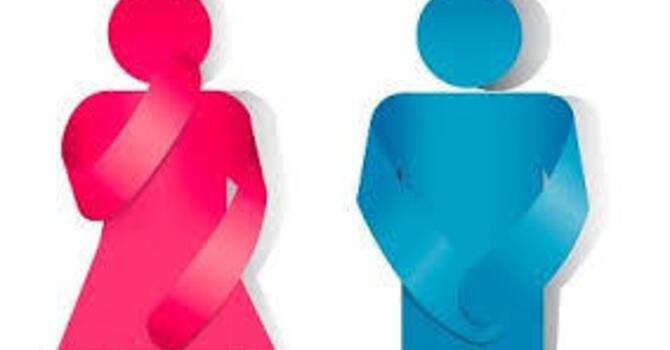 The Mysteries of Pelvic Health Physiotherapy image