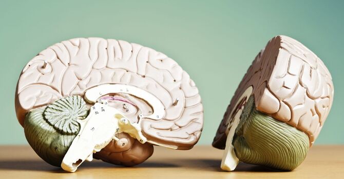 What is Brainspotting (BSP)? image