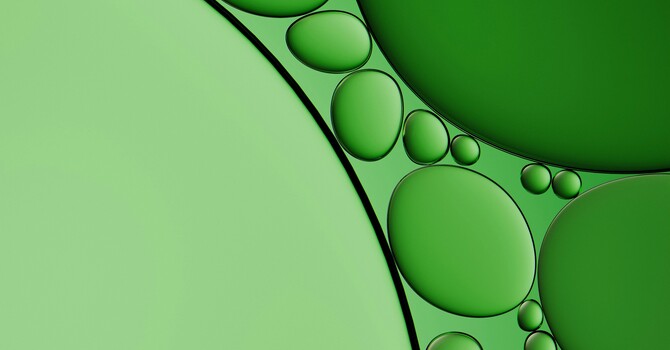 Circulation & Lymphatic Care