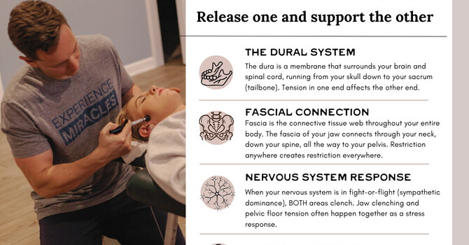 Jaw and Pelvic Floor Connection image