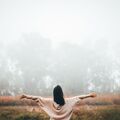 Lisa Meyerson