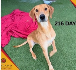 Smiley adopted 7 days after Ecode session