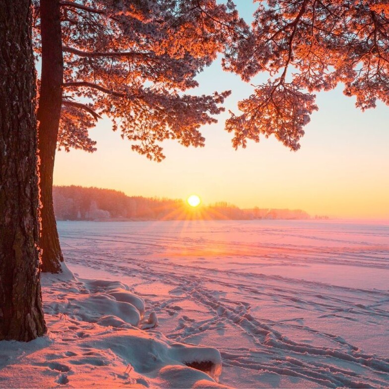 sunrise