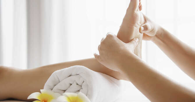 Wellness Care
