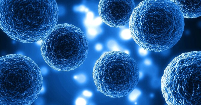 What to Expect After Autologous Stem Cell or High Density PRP Treatment image