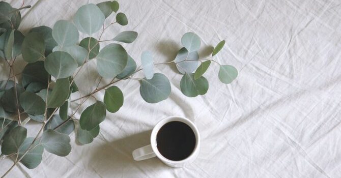 8 Week Stress Release: With Dr. Samantha Dass, Naturopathic Doctor image