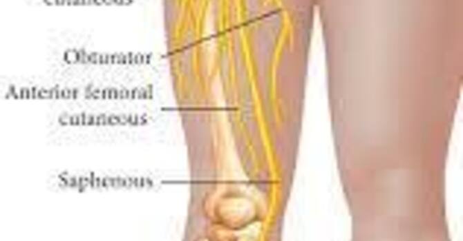 Why Can a Problem in Your Back Cause Pain Down Your Leg? image