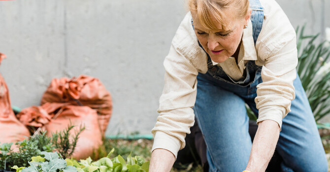 Gardening Without the Pain  image